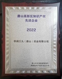 吐鲁番高新区知识产权先进企业